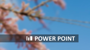 小z素材-商务ios简约动态模板-0030