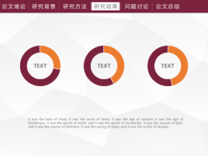 求职_答辩PPT模板 (5)16