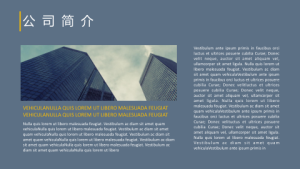 求职答辩PPT模板 (10)3