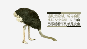 鸵鸟心态哲理故事ppt模板2